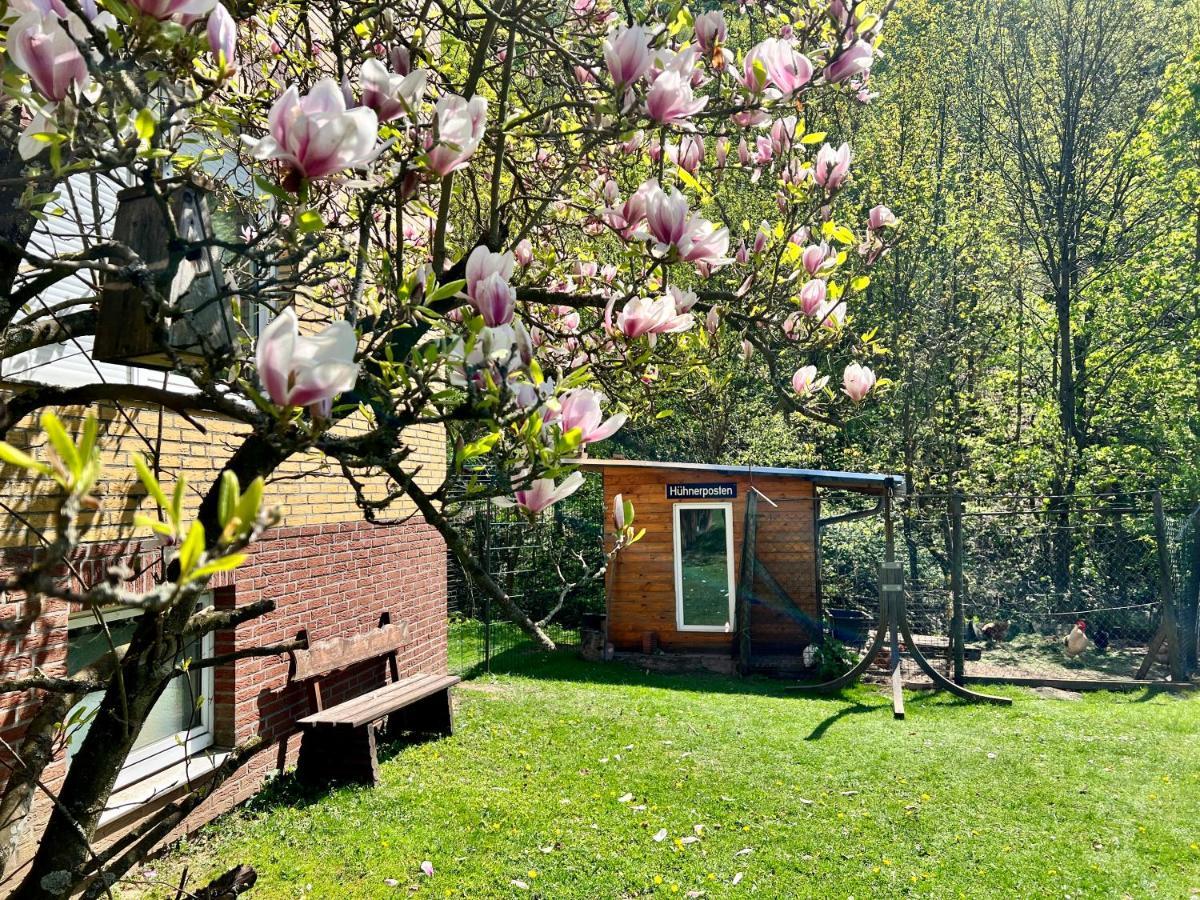 Vor Lauter Baeumen B&B Zorge Extérieur photo