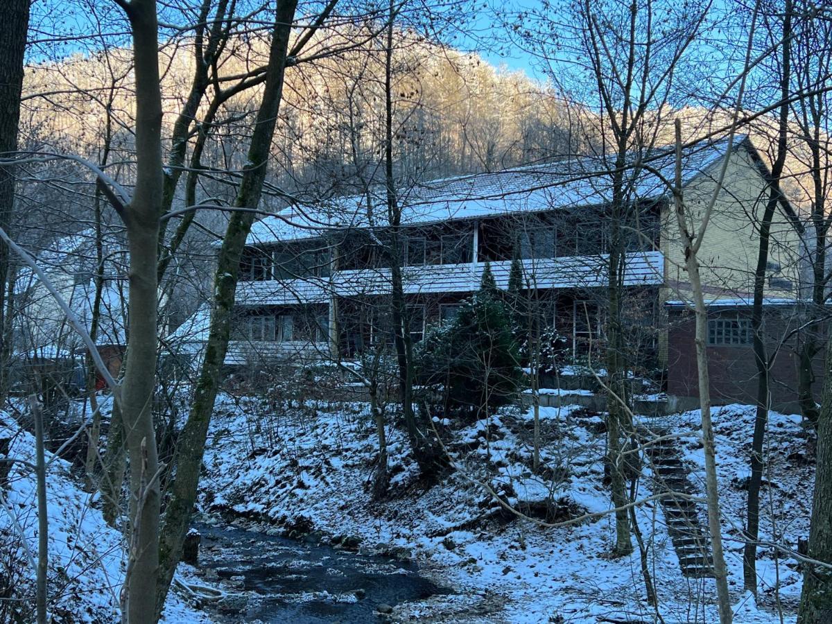 Vor Lauter Baeumen B&B Zorge Extérieur photo