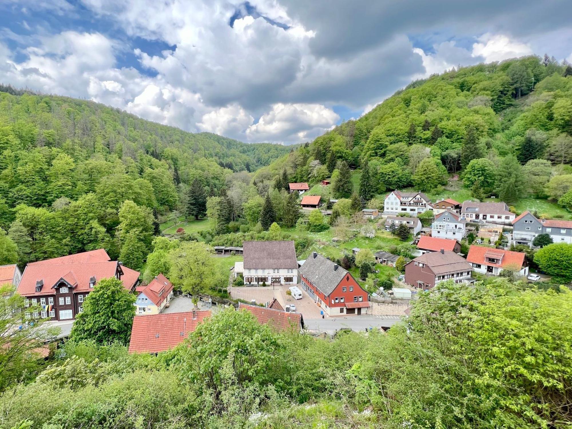 Vor Lauter Baeumen B&B Zorge Extérieur photo